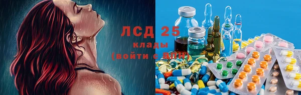 хмурый Тында