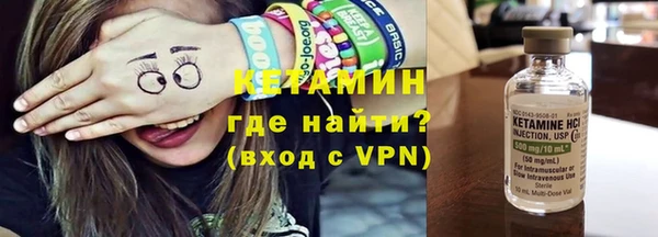 индика Туринск