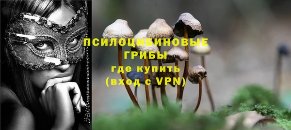 хмурый Тында