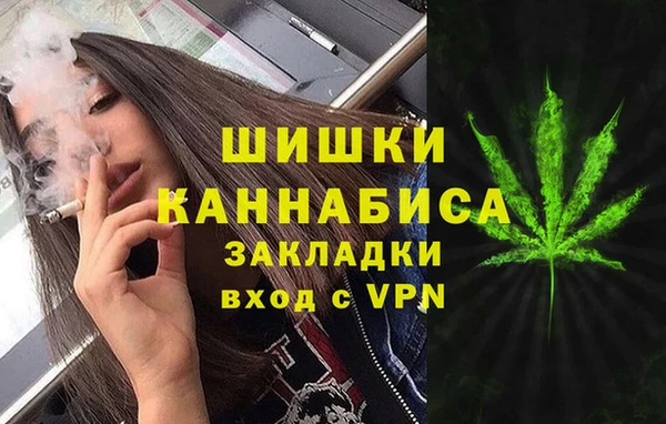 хмурый Тында