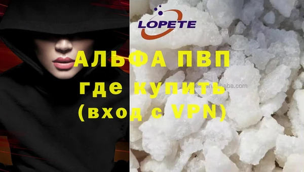 индика Туринск