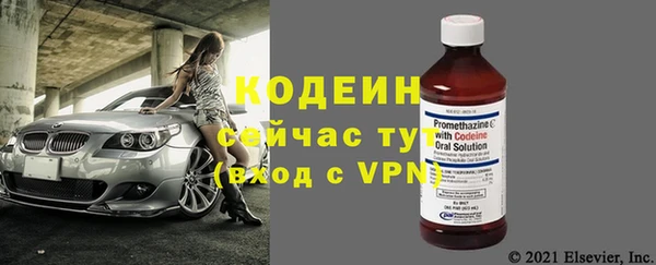 индика Туринск