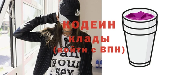 хмурый Тында