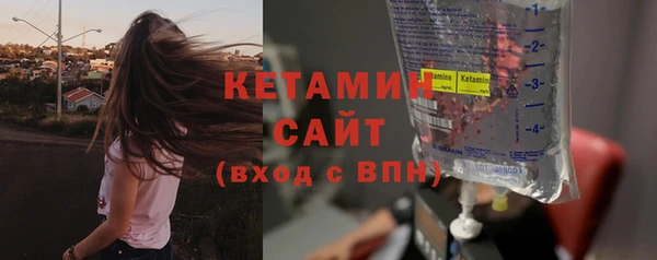 индика Туринск