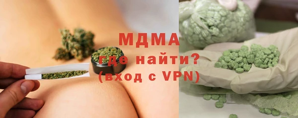 индика Туринск