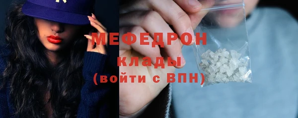 индика Туринск