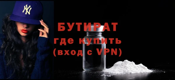 индика Туринск