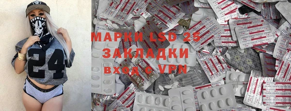 индика Туринск