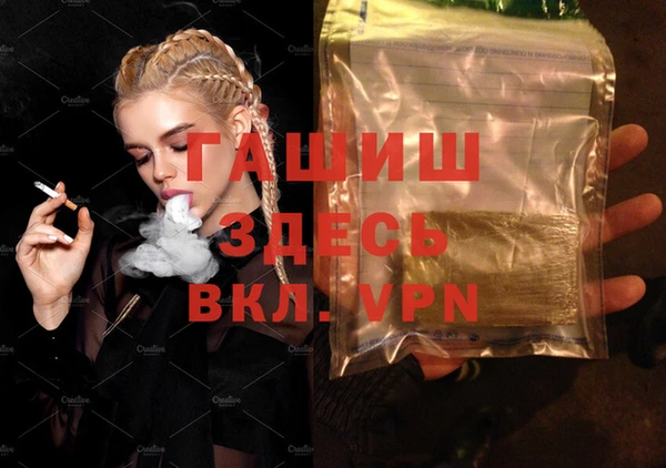индика Туринск