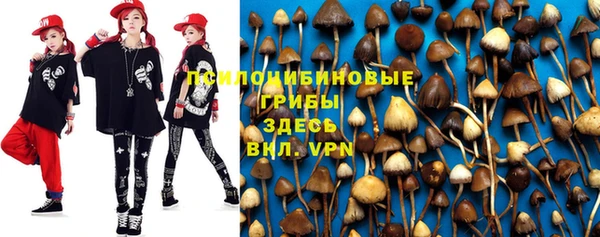 хмурый Тында