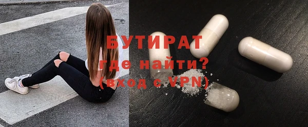 индика Туринск