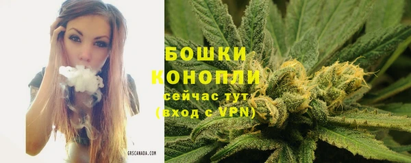дживик Тутаев