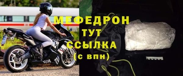 индика Туринск