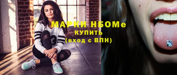 индика Туринск