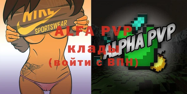 индика Туринск