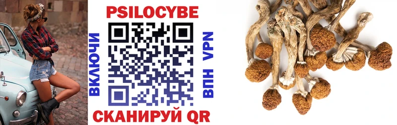 Псилоцибиновые грибы прущие грибы  Урень 
